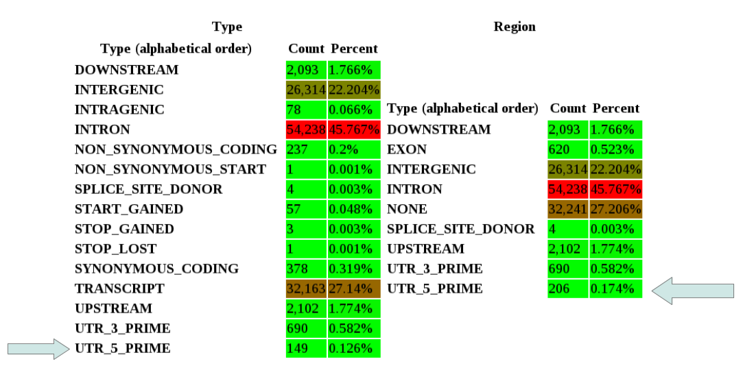 type_vs_region